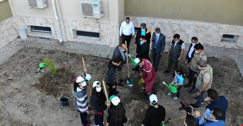 BASKANIMIZ GELECEGE NEFES PROJESİ FİDAN DİKİMİ