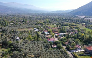 PAŞALI