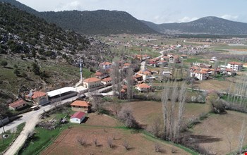 CEYLAN 