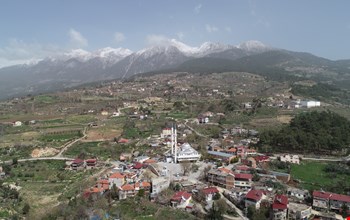 ARSA