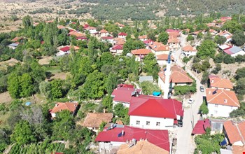 ÇOBANİSA