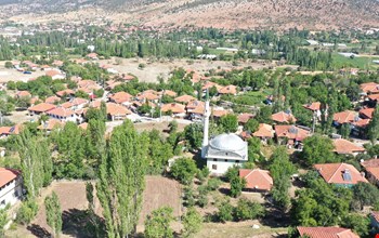 DOĞANLAR