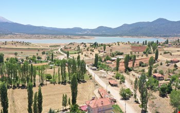 YAYLA PATLANGIÇ