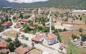 BOĞALAR