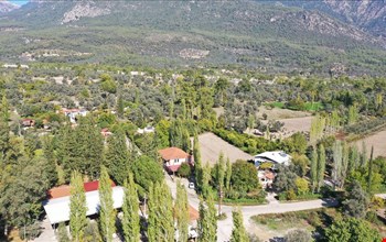 ÇAYAN